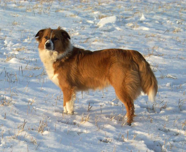 /i/ANNIE/Annie7monthsLt09.jpg