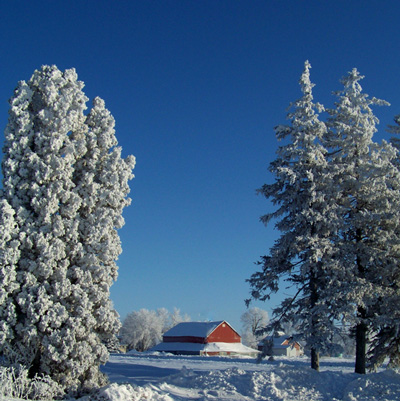 /i/PegPhoto/2010RedBarnFrosted.jpg