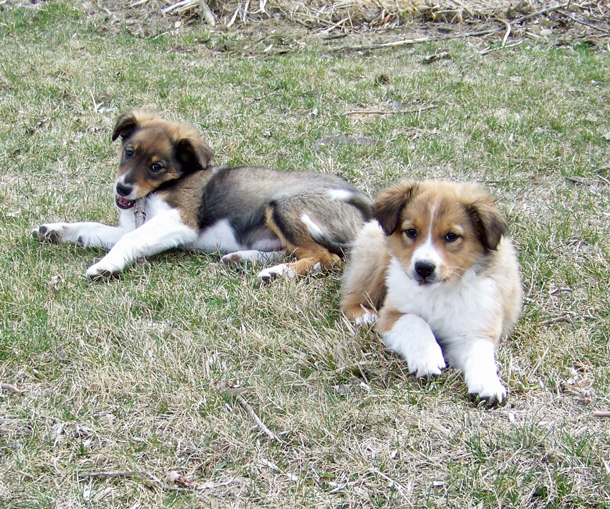 "GERI" & "GILMORE"