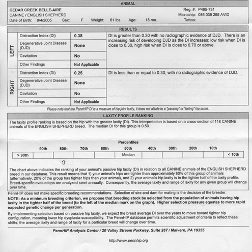 Belle's PennHip Report